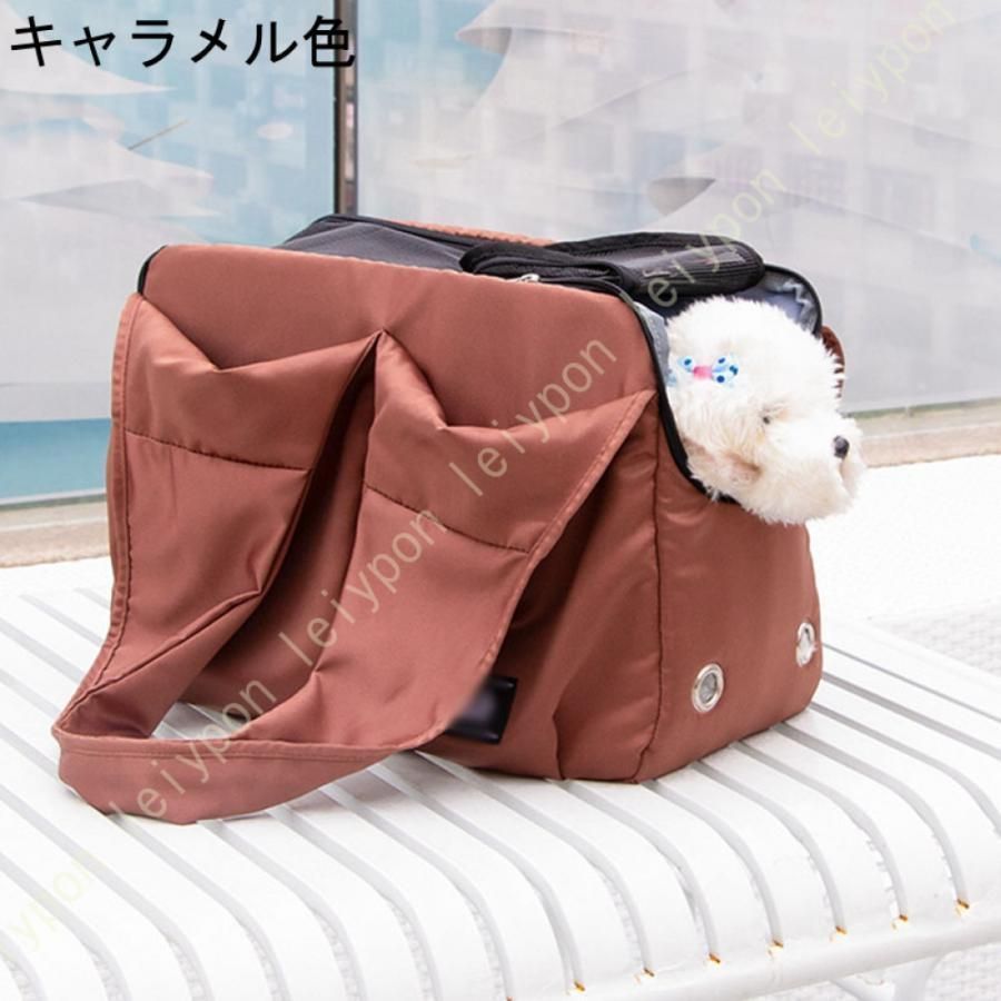 猫 小型犬
