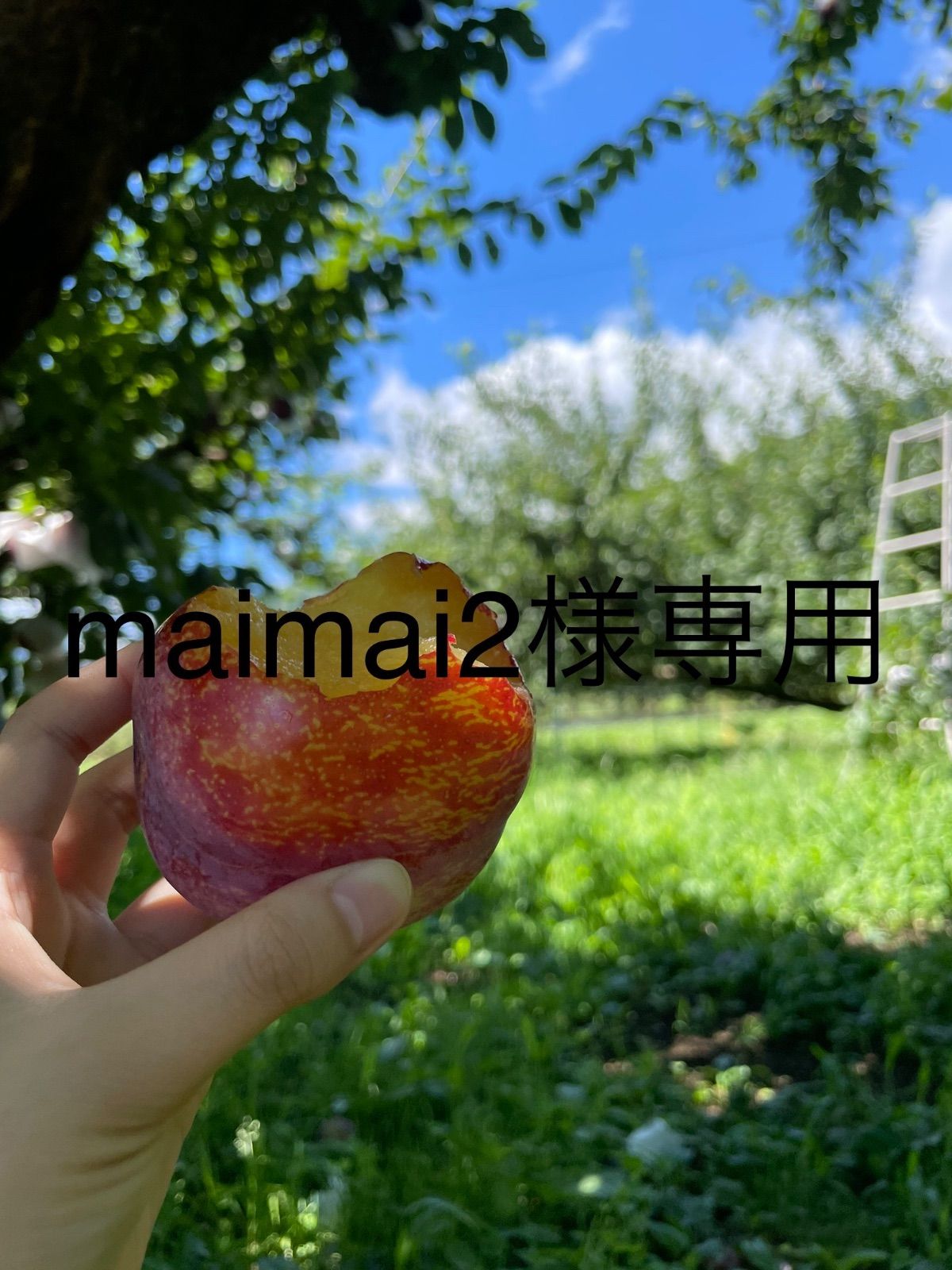 maimai2様専用商品