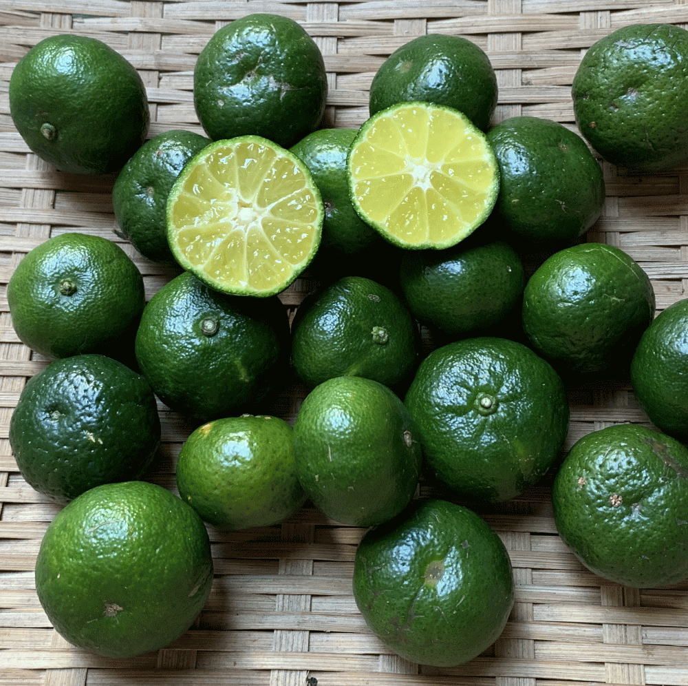 沖縄県産 種なし シークワーサー 6キロ