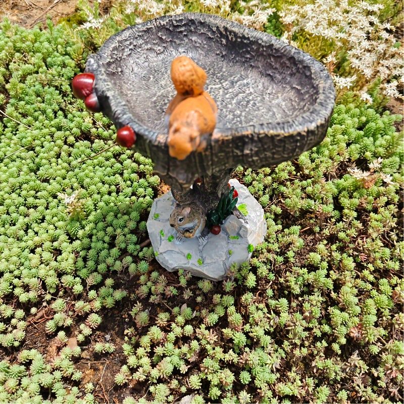 給餌器