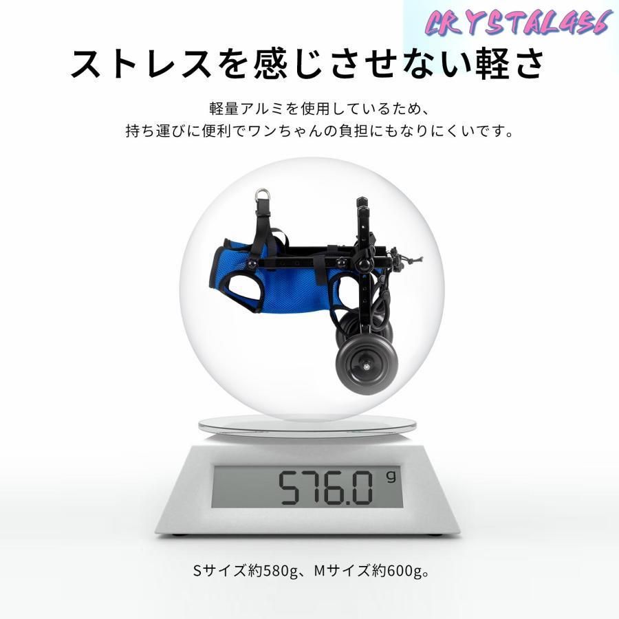 後ろ足 リハビリ
