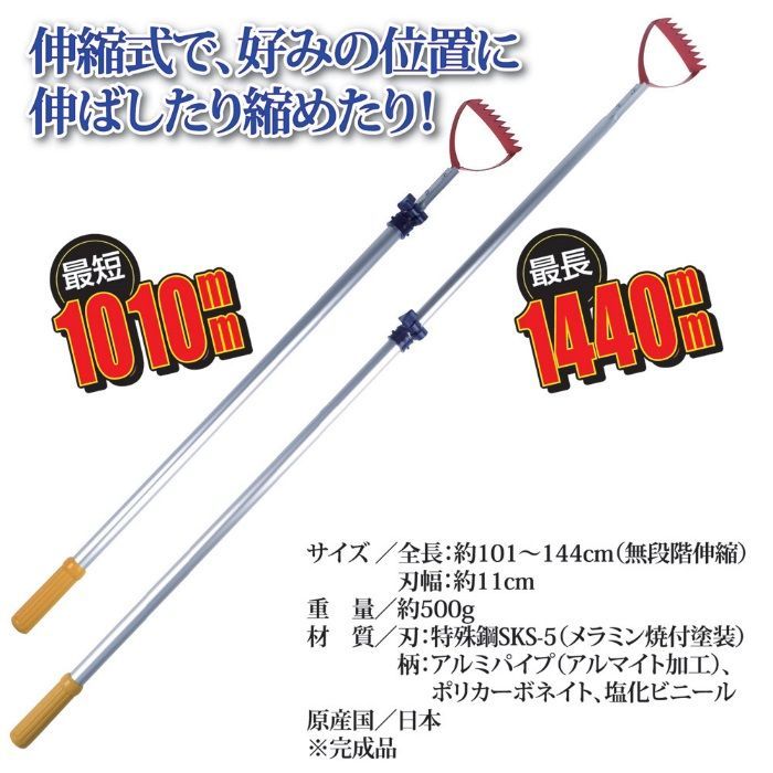 とれ太 ビッグ
