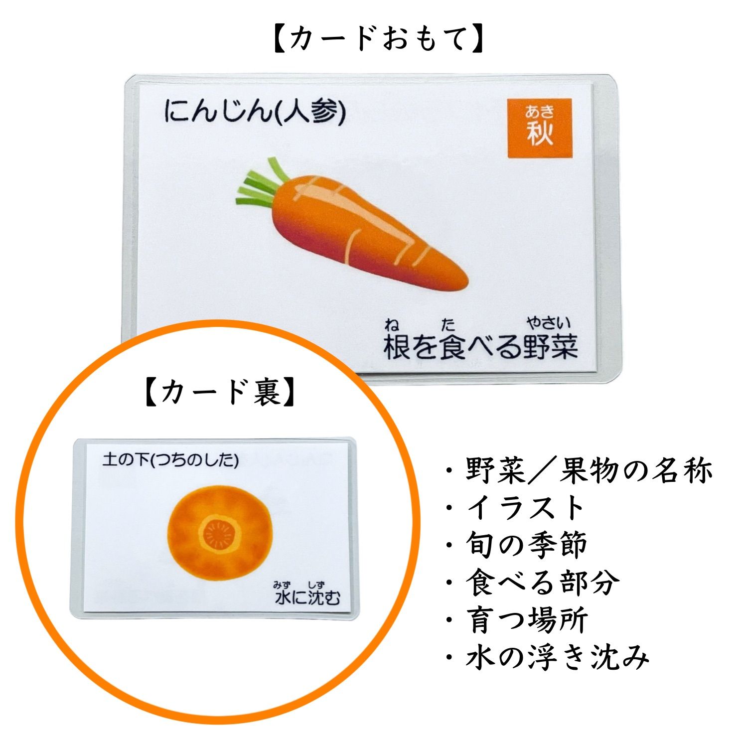 季節の花 小学校受験教材 理科的常識 幼児教育 知育 く日はお得