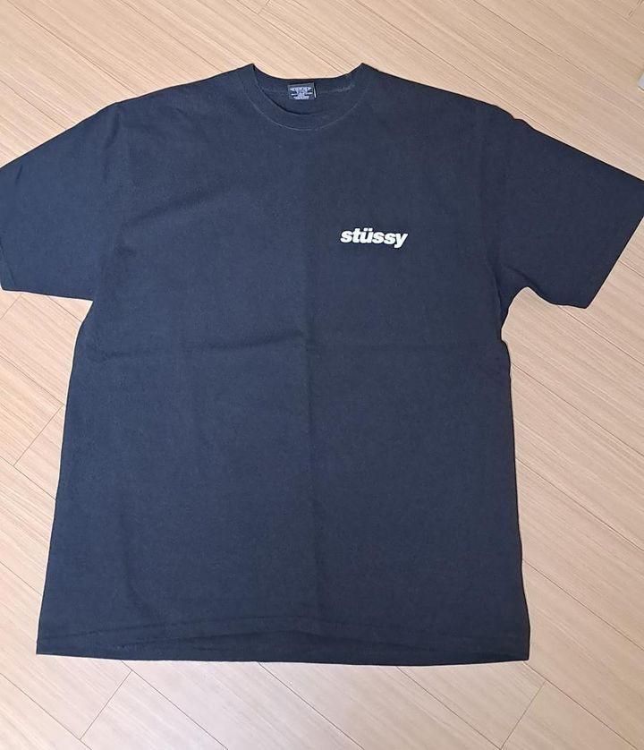 【雷市場（ポンジャン）商品韓国直送】STUSSY(ステューシー) アイスキャンディー 半袖 L