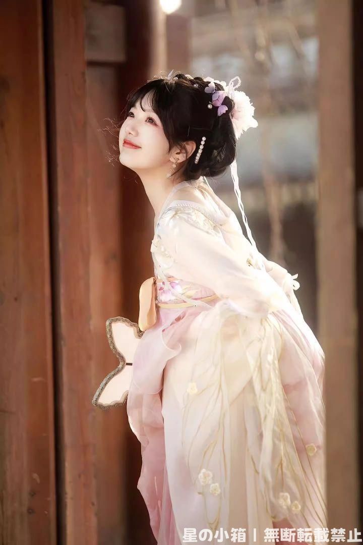 2025 豪華刺繍 漢服 かんふく 古風衣装 レトロ風 中華ロリータ コスプレ ワンピース 唐装 仙女服 中華風 美しい刺繍 撮影会 舞台演出 推し活 仮装 HF 304