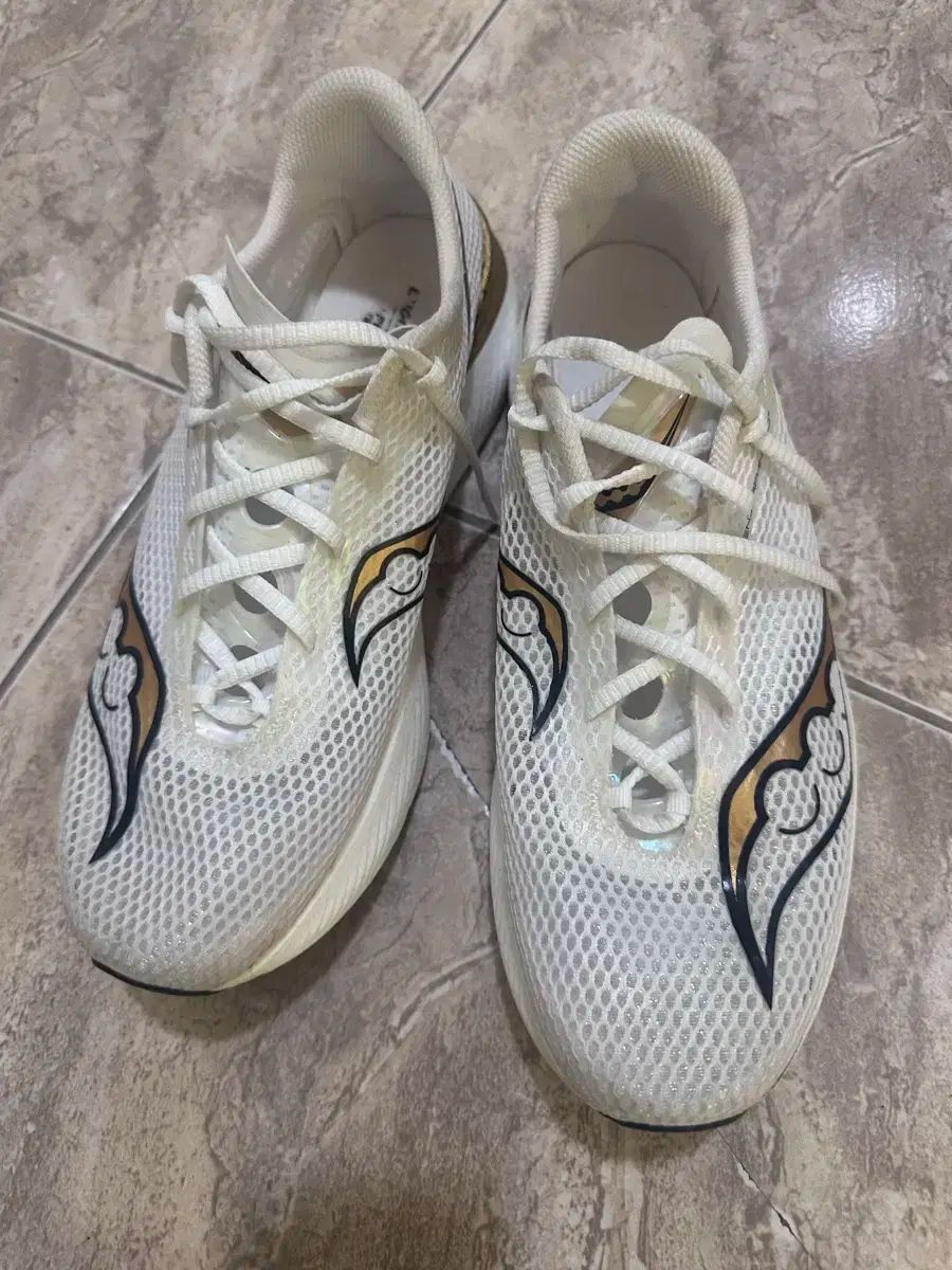 Saucony サッカニー エンドルフィン プロ 3 カーボンランニングシューズ 300