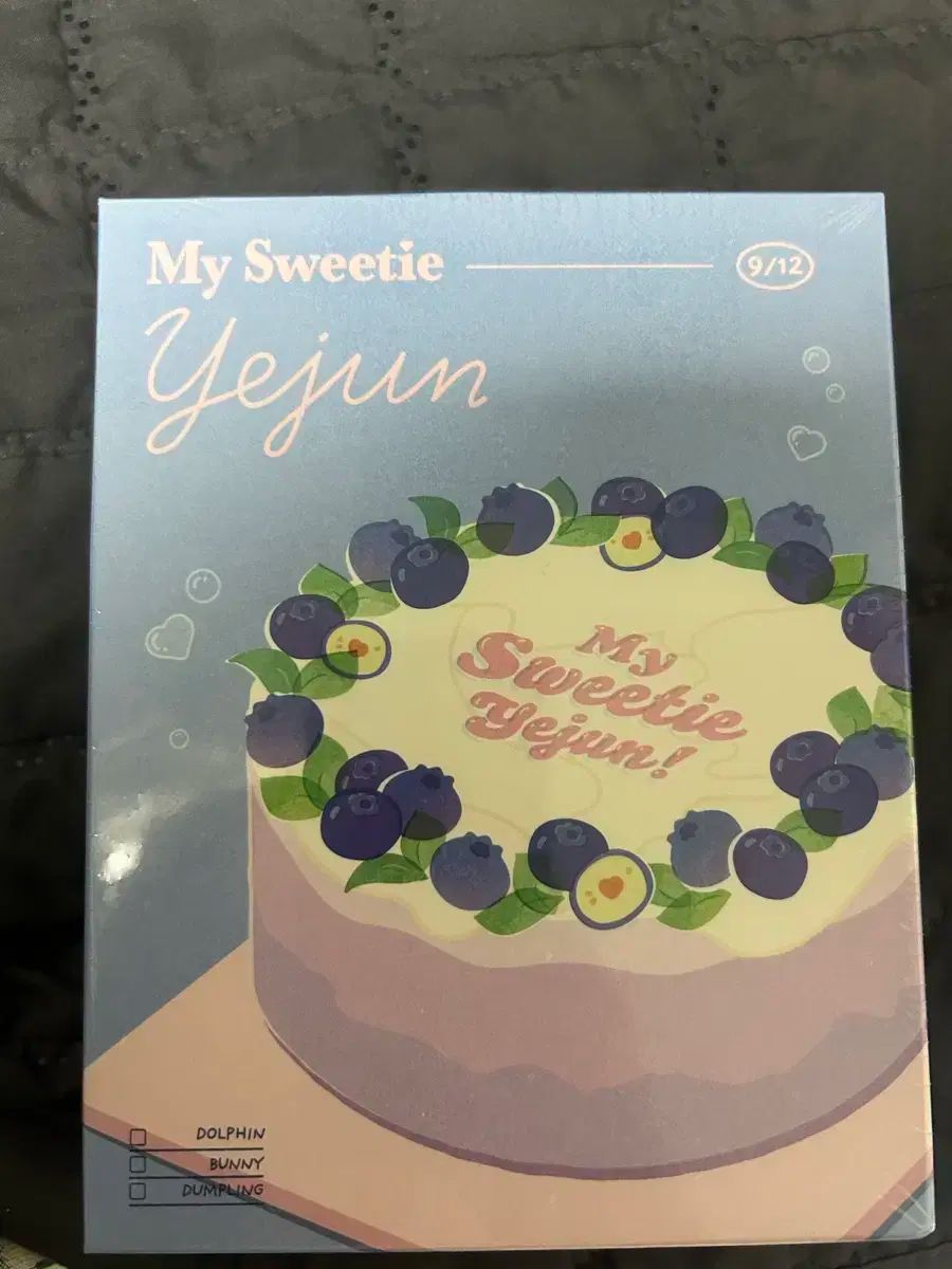 2024 イェジュン(YEJUN) バースデーキット 未開封 イェジュン]PLAVE