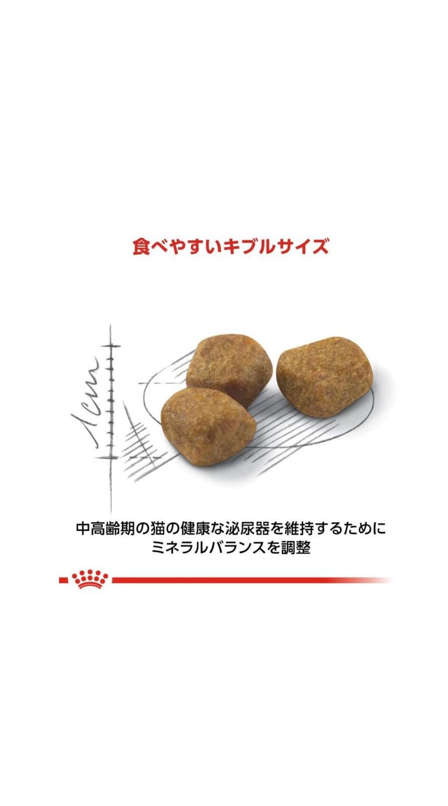 ロイヤルカナン FHN インドア 7 室内で生活する中高齢猫用 3.5kg 3.5kg