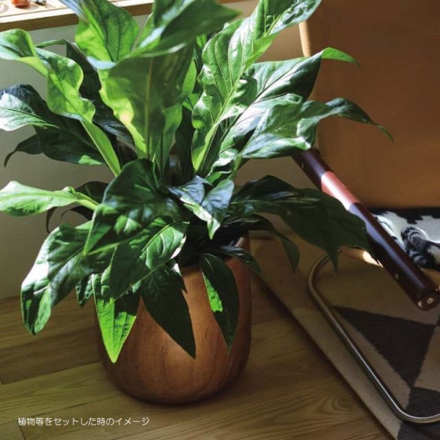 オフィスビル 店舗