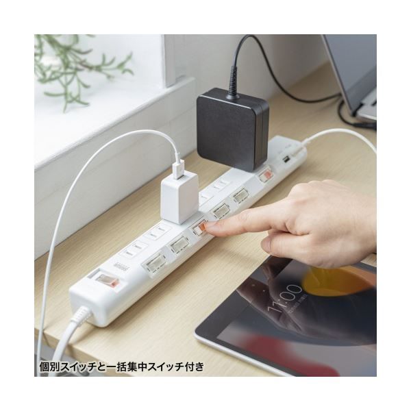 サンワサプライ節電タップ 2P