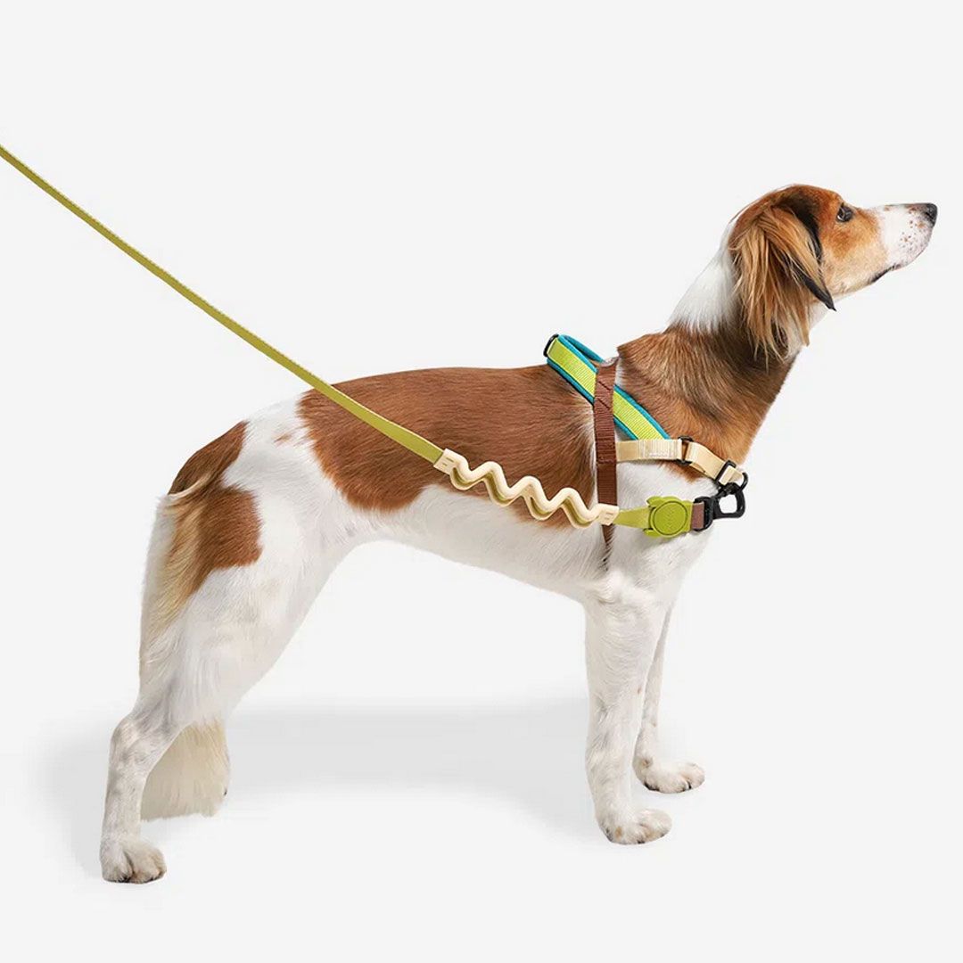 ドッグアモック　ハーネス&リード Amazon | Angoily 大型犬用ハーネス ハーネスリード ドッグ