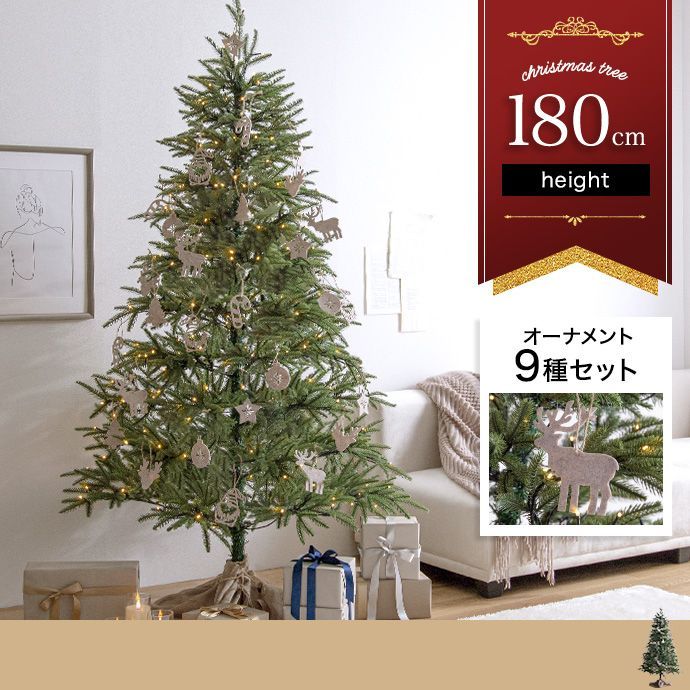 北の蝦夷　赤蝦夷松　苗木　70センチ　クリスマスツリーにいかがでしょう 北の蝦夷 赤蝦夷松 苗木 70センチ クリスマスツリーにいかがでしょう