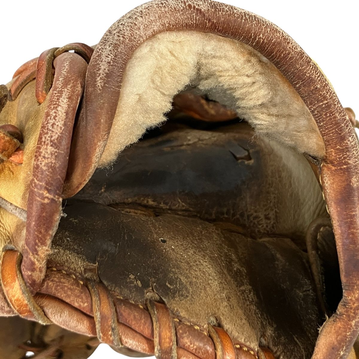 グローブ 2点セット