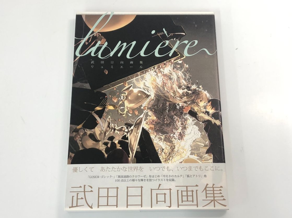 【美品★希少】　武田日向　画集　迷宮の小径 武田日向＊迷宮の小径 イラスト集 - メルカリ