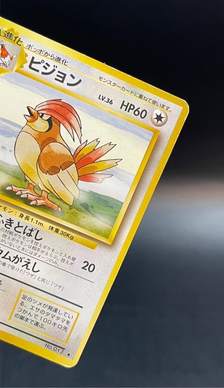PSA 8 ピジョン 拡張パック第1弾 初版 017 1996 PSA 8 ピジョン 拡張パック第1弾 初版 017 1996 - メルカリ
