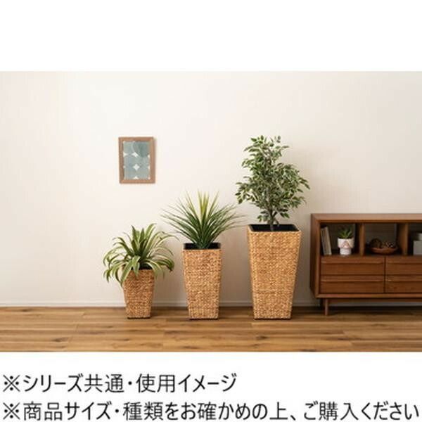 プランター角ハイタイプ