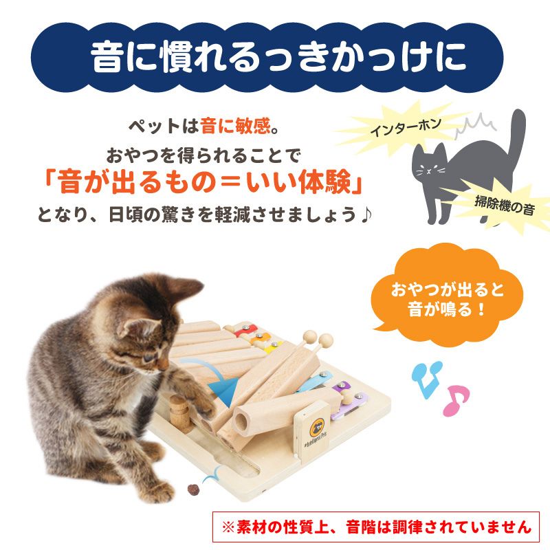 成猫 老猫