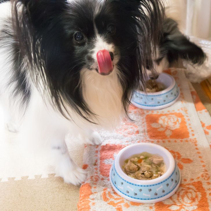 犬用品 コラーゲン パワーバランス(顆粒) 30本入り 犬 サプリメント