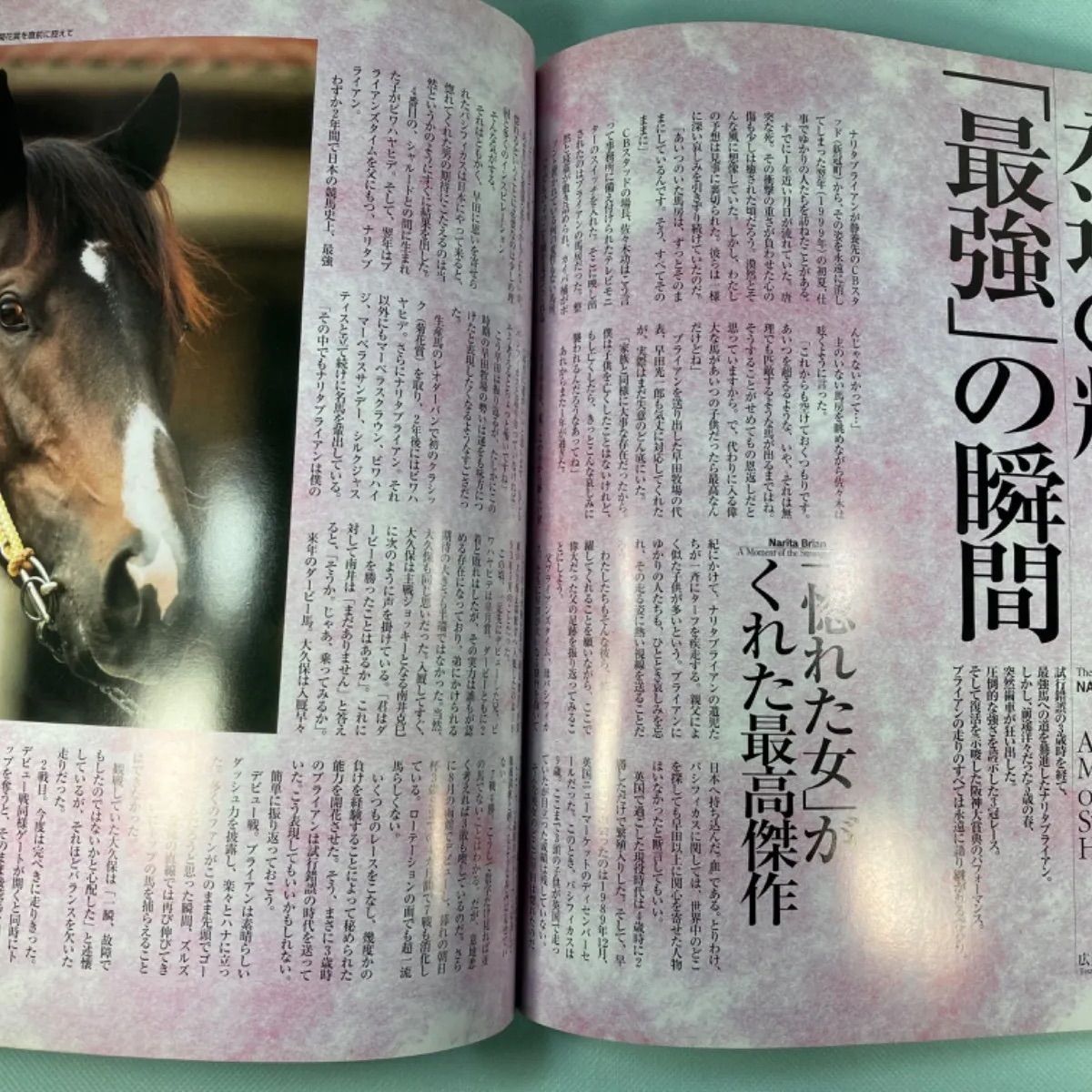 値下げ！新品！JRA競馬ディープ、オグリ、ナリタブライアン、トウカイテイオー名馬 61HYUIIq1LL._UF350,350_QL50_.jpg