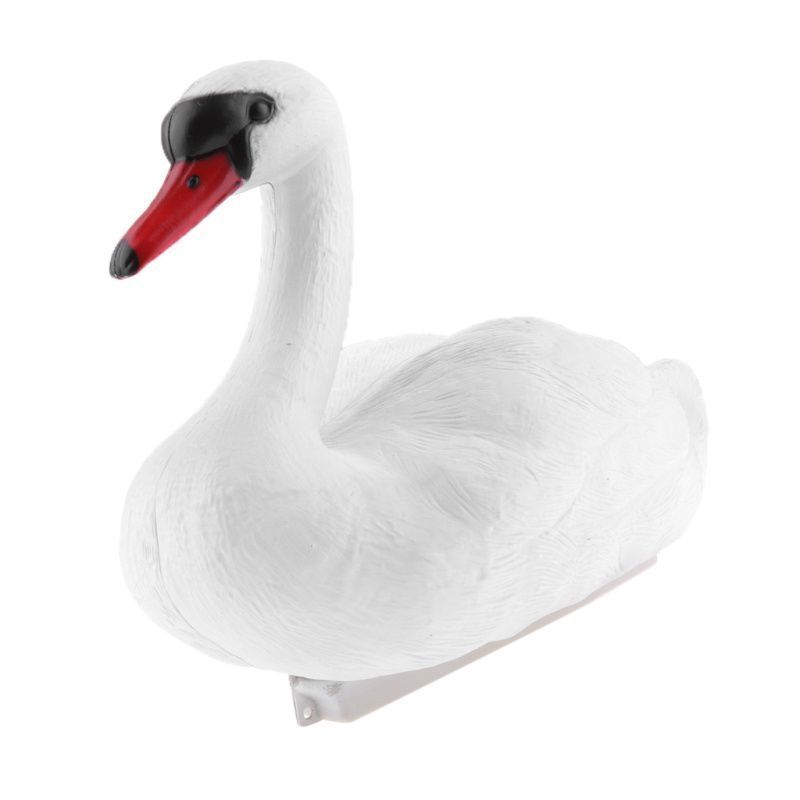 白鳥 スワン