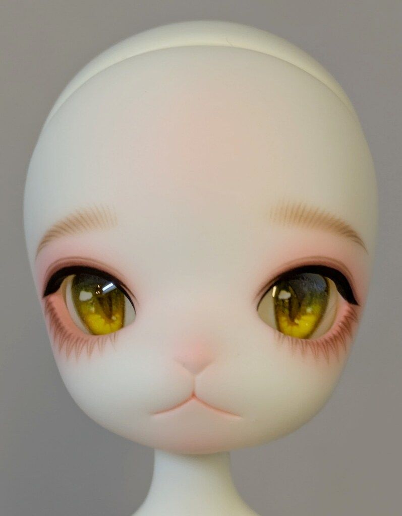 DOLK×DOLL ZONE