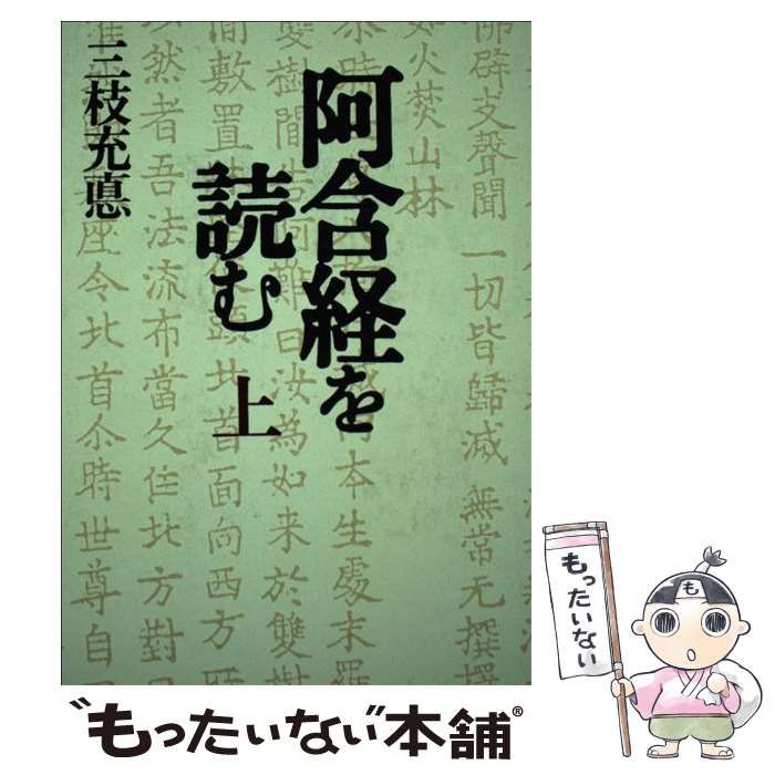 阿含経を読む 上下巻セット 三枝充悳 青土社 仏教思想 中古 阿含経を読む 上 ⁄ 三枝 充悳 ⁄ 青土社 - メルカリ