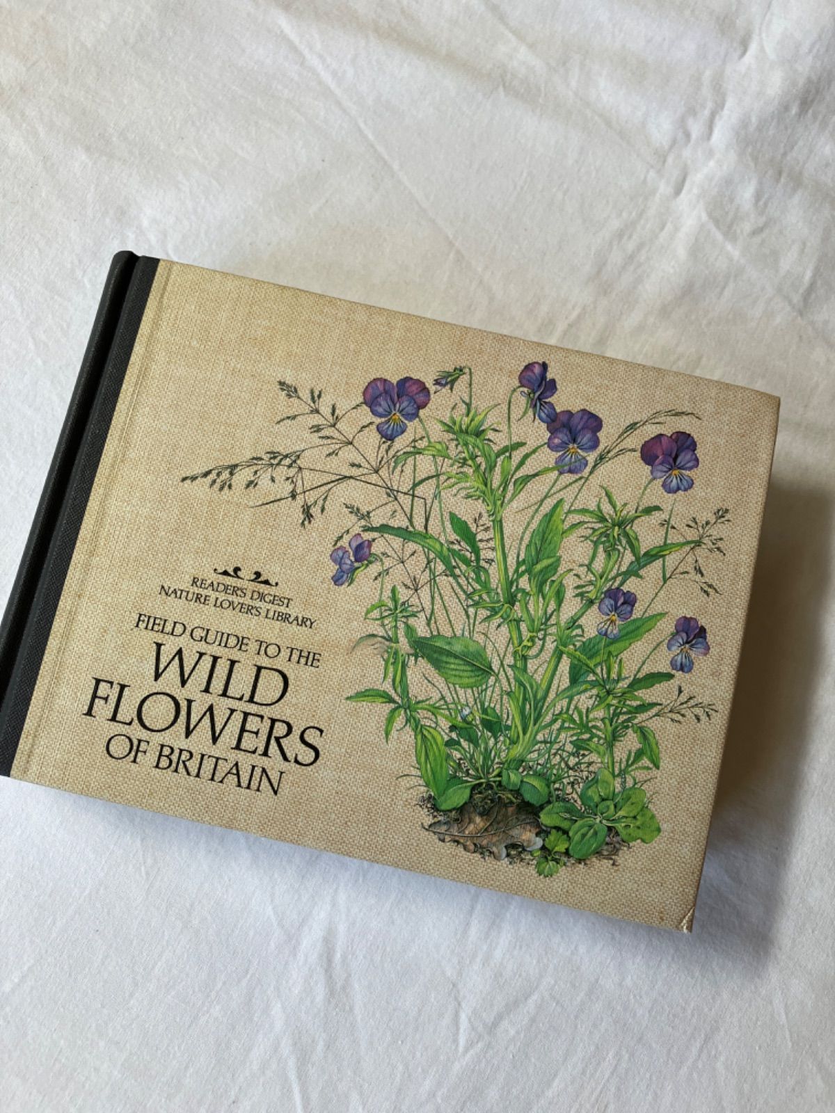 1919年 希少　イギリスの野生植物図鑑 BWF5 アンティーク イギリスの野生植物図鑑 Wild Flowers of Britain - メルカリ