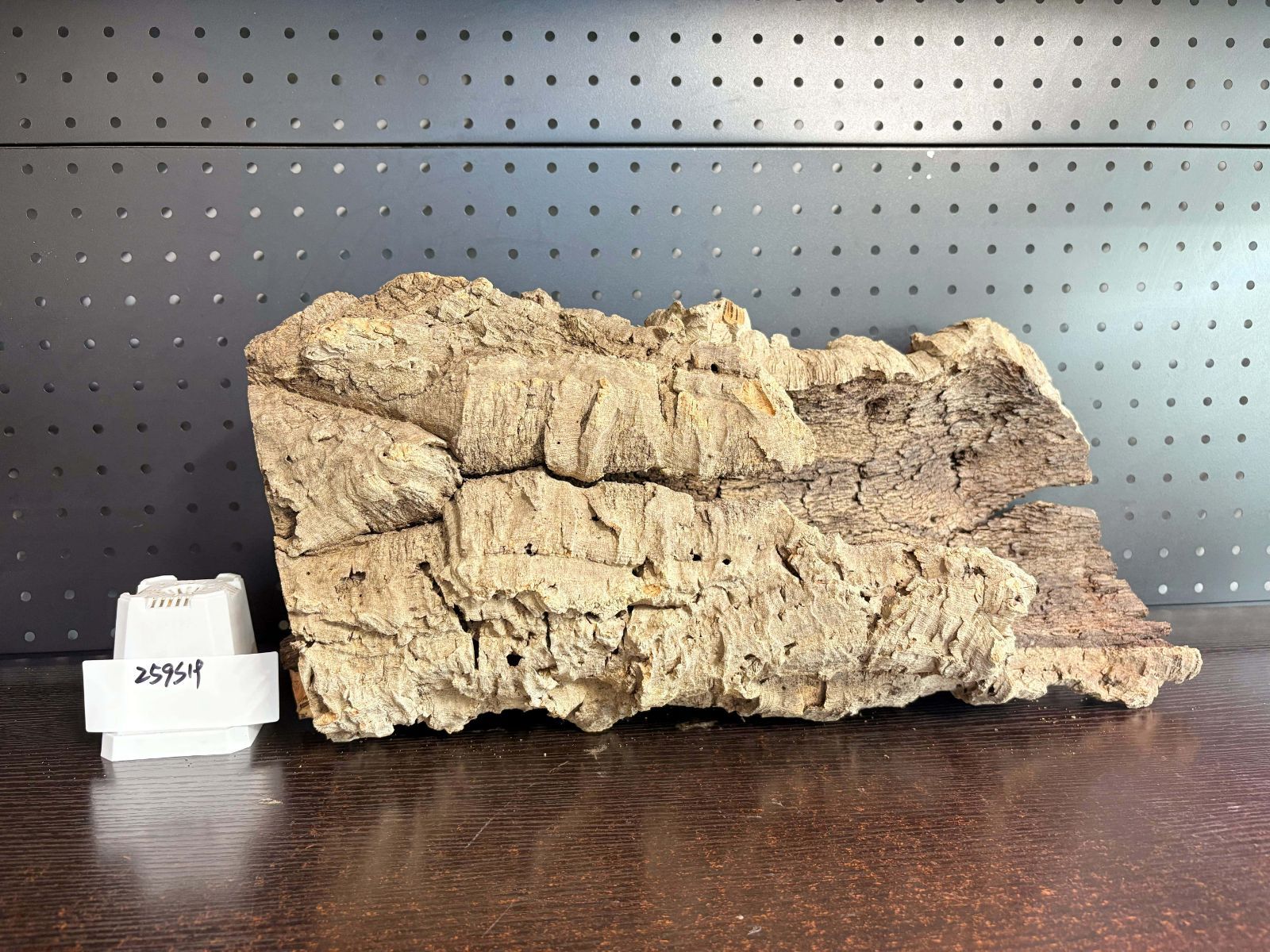 キャノンコルク