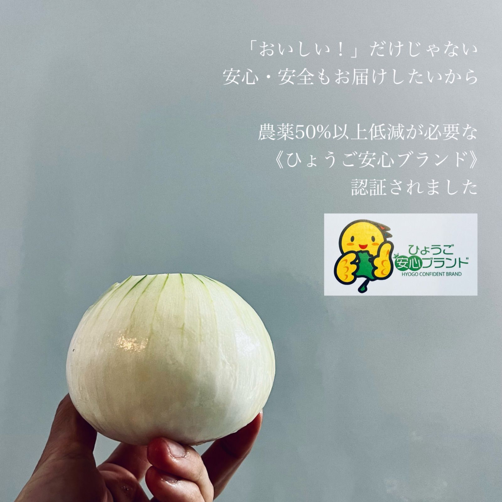 淡路島玉ねぎ　１０㎏入り　七宝早生　甘い　栽培期間中農薬不使用　兵庫安心ブランド 予約販売】NAKAHIRAFARM 減農薬 淡路島たまねぎ 甘い ブランド