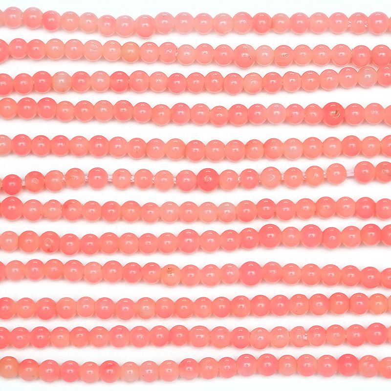 桃珊瑚 imgrc0083498595.jpg