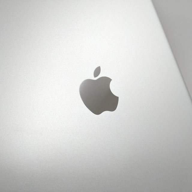 iPad 第6世代 32GB 本体 ホワイト（完動SIMフリーiPad第6世代