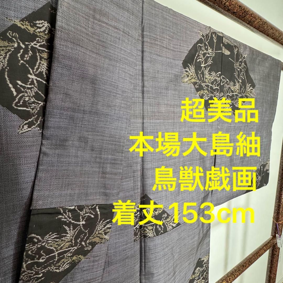 秋冬 超 和装 着物 袷 紬 本場大島紬 鳥獣戯画 153 カタス式
