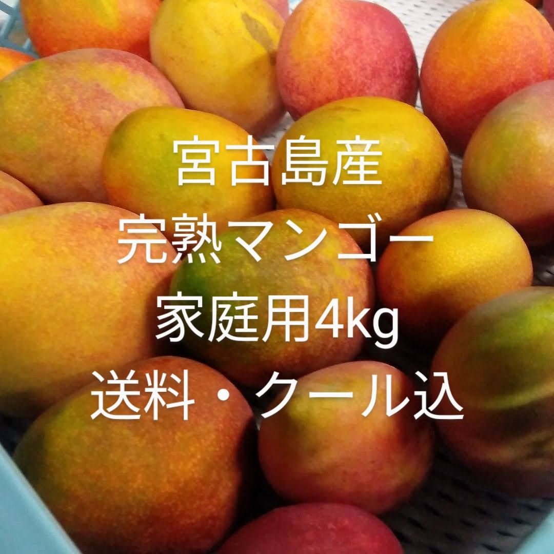 沖縄 宮古島産 完熟マンゴー4kg 家庭用(訳あり) - メルカリ 沖縄 宮古島産 完熟マンゴー4kg 家庭用(訳あり) - メルカリ