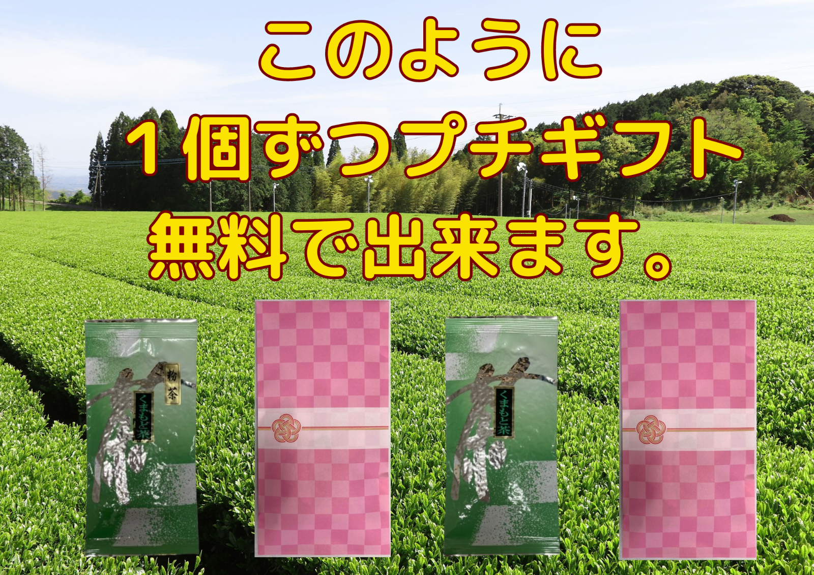 お歳暮 全国 送料無料 健康 新茶 熟成 くまもと白折入荷しました 100g　激安茶