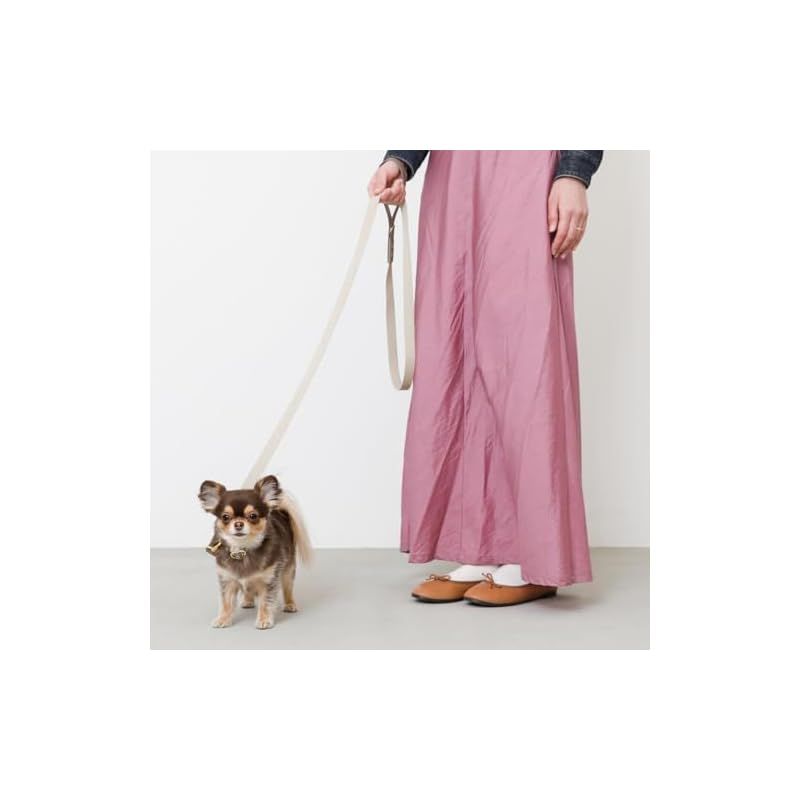 ブランド