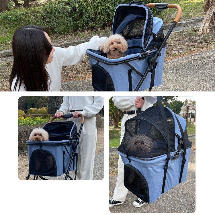犬