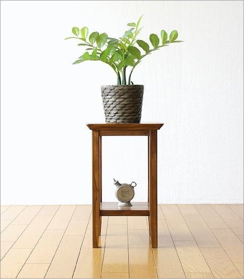 鉢 観葉植物