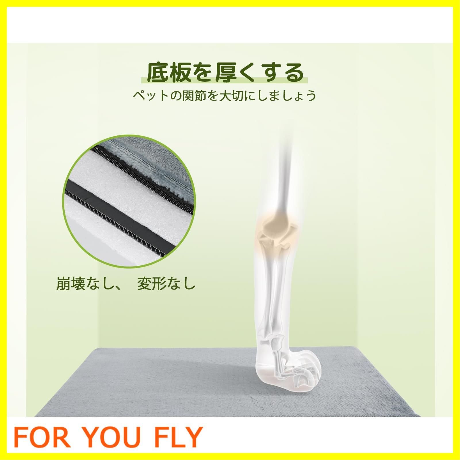お出かけ