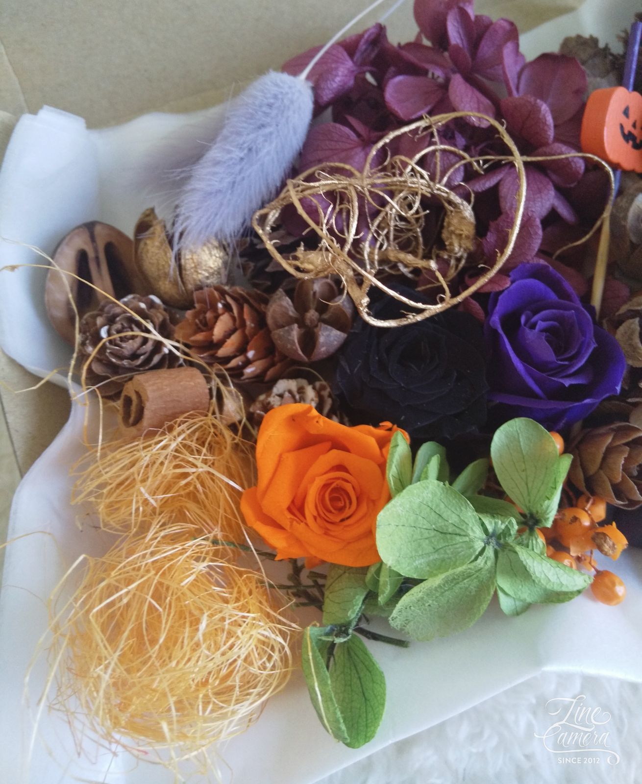 早割！】小さめ木の実の詰め合わせ ハロウィンver. 花雑貨 Mes favoris メルカリ