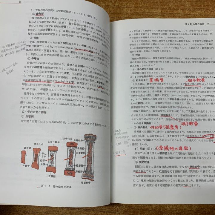 柔道整復師 教科書15冊セット