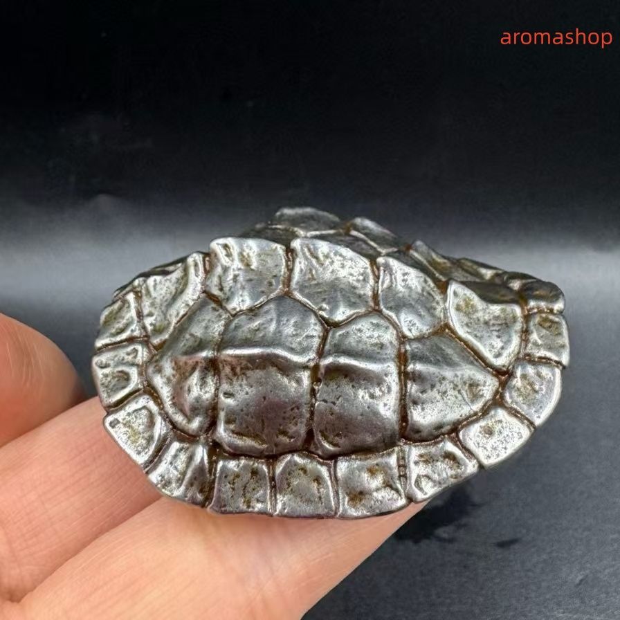 隕鐵 清代 旧蔵 チベット古寺 天鉄-隕石鉄 河図洛書・亀の甲羅