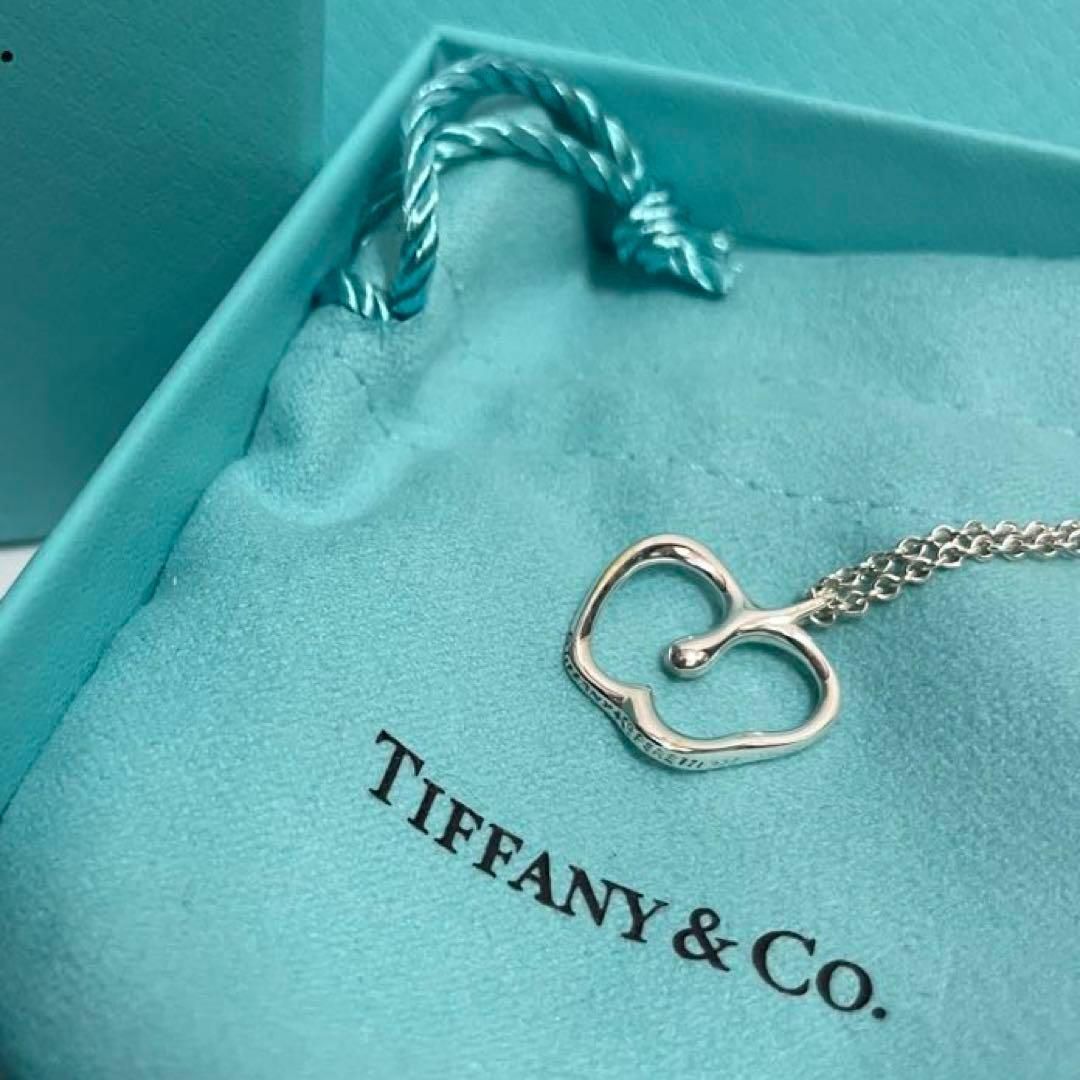 素材シルバー925【美品】Tiffany ティファニー アップル ネックレス シルバー 925