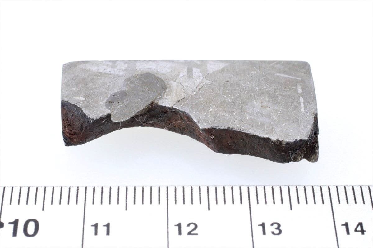 ムオニナルスタ ムオニオナルスタ 13g スライス カット 標本 隕石 