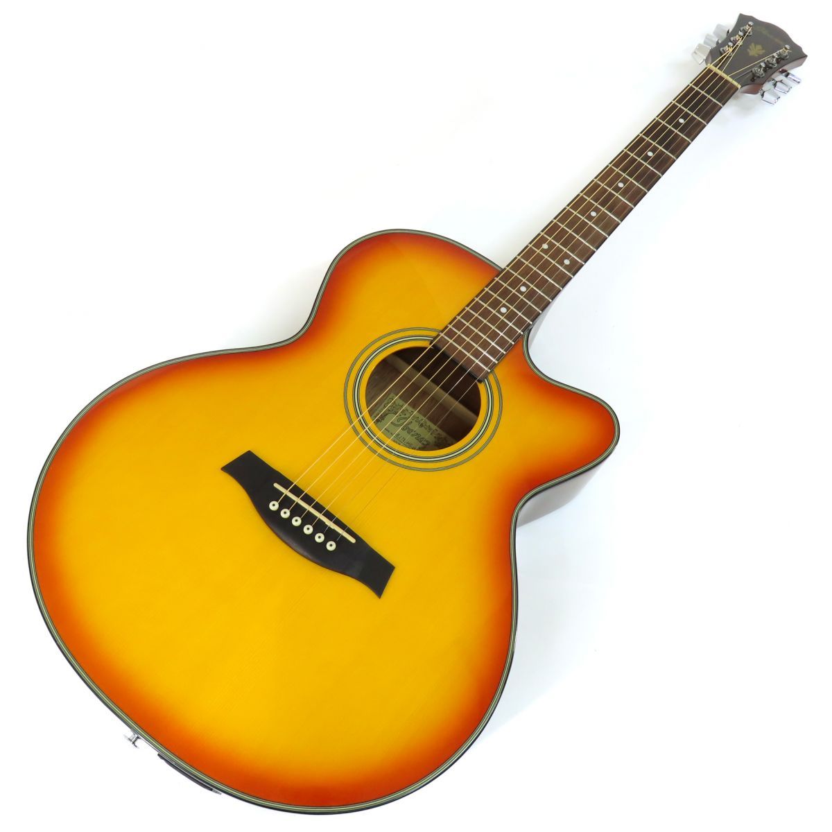 IBANEZ アイバニーズエレアコアコースティックギターAEJ7E