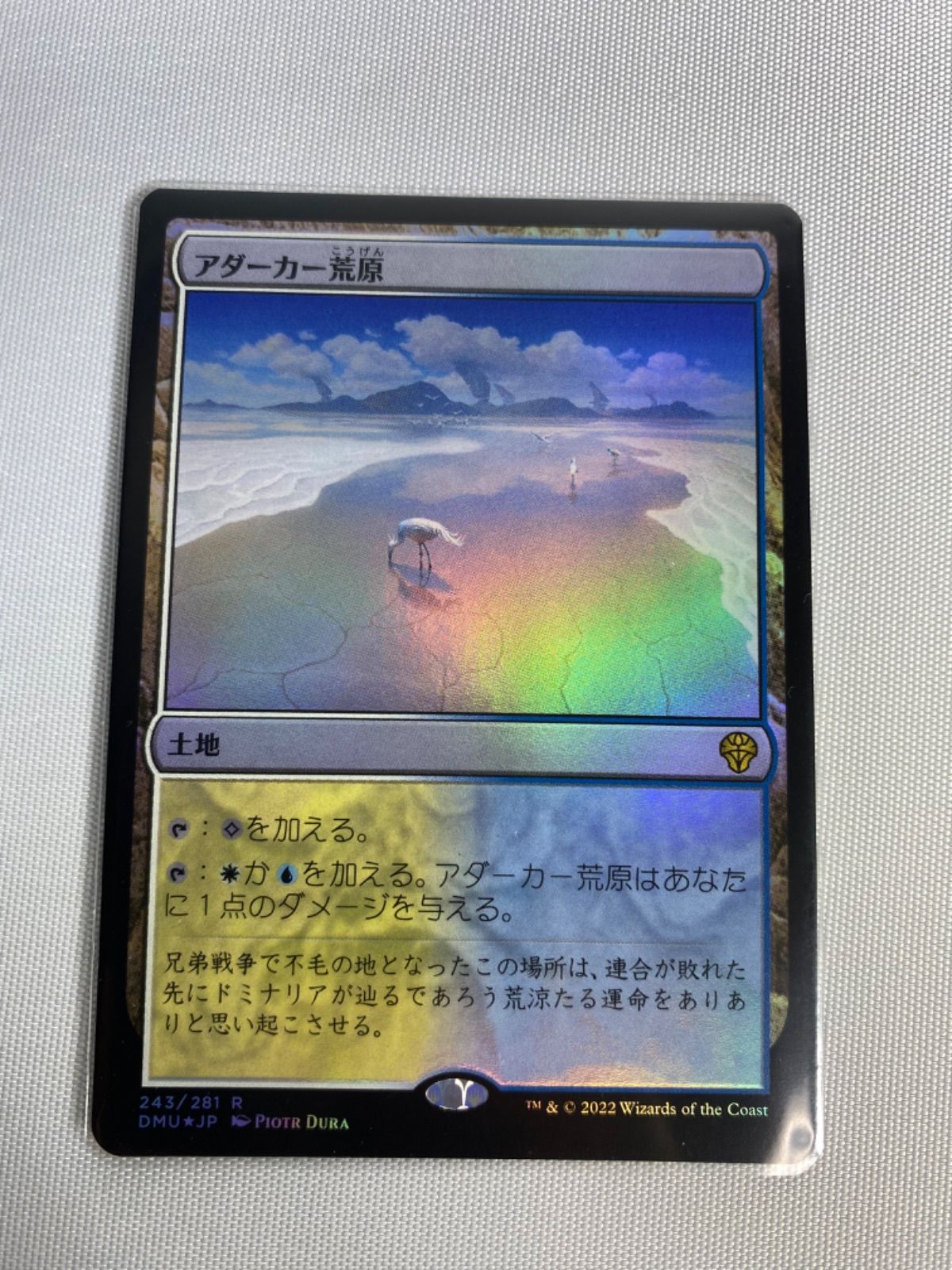 MTG DMU Foil レア土地 セット 団結のドミナリア - メルカリ