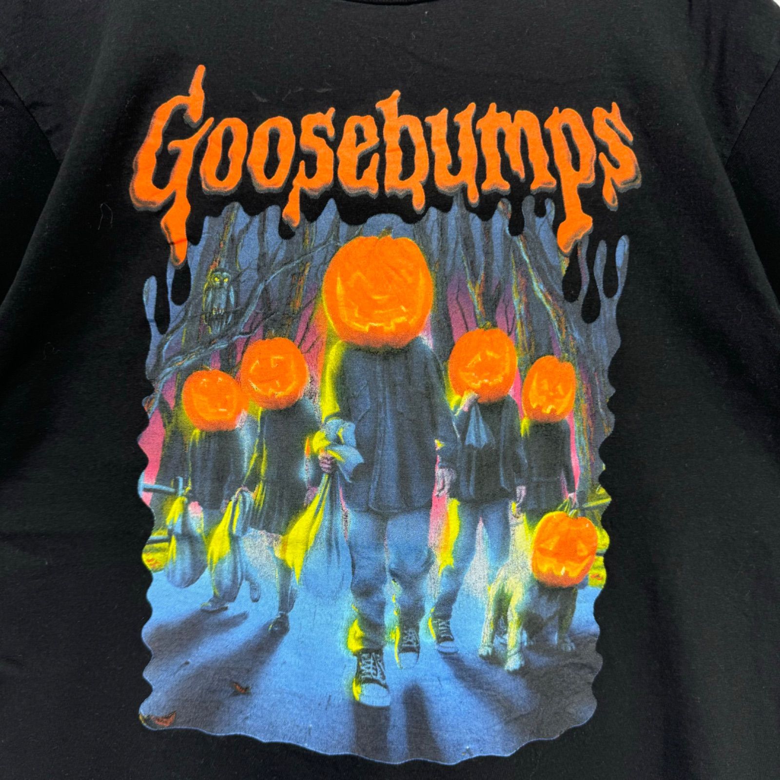 Goosebumps グースバンプス ホラー小説 映画 Tシャツ 映画T ムービーT バンT バンドT 音楽T ミュージックT 古着