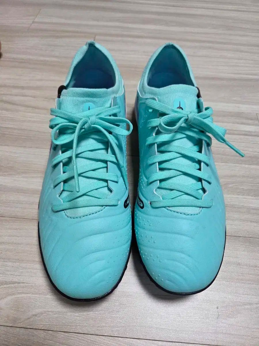 NIKE ナイキ ティエンポ 10 プロ tf 255