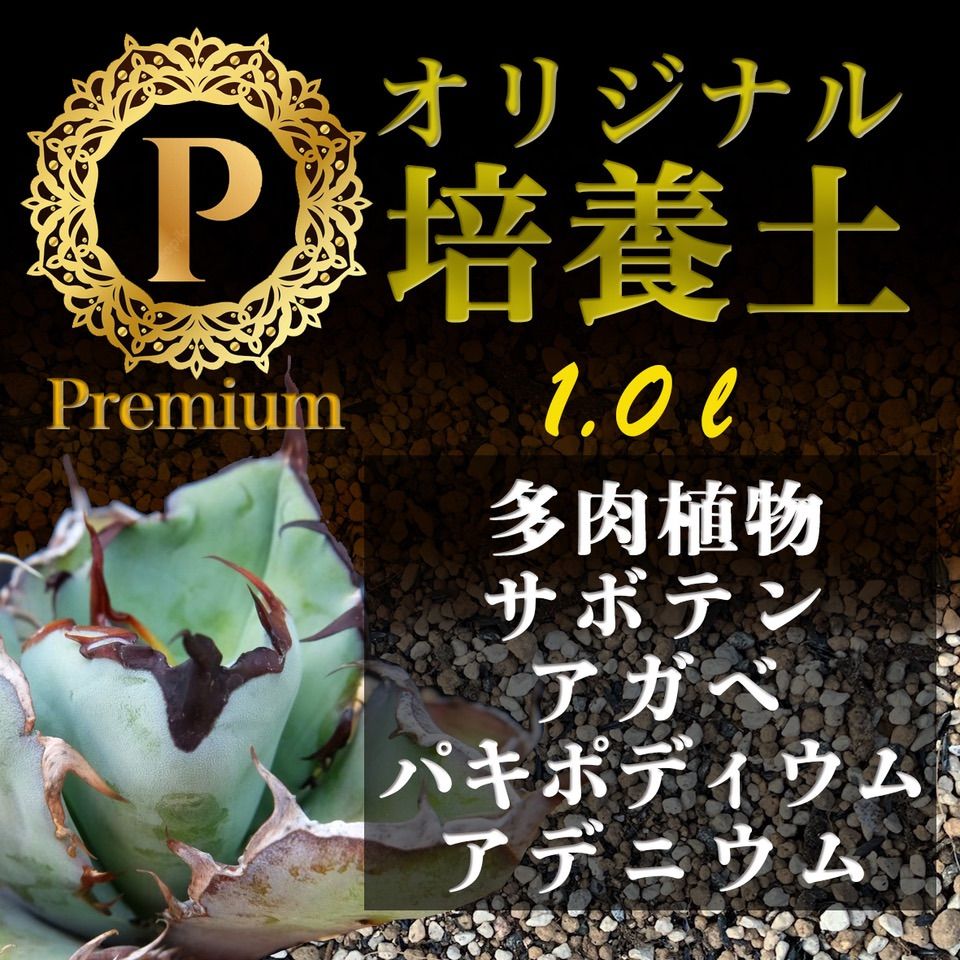 培養土Premium 1㍑（アガベ・パキポディウム・各種サボテン多肉植物の