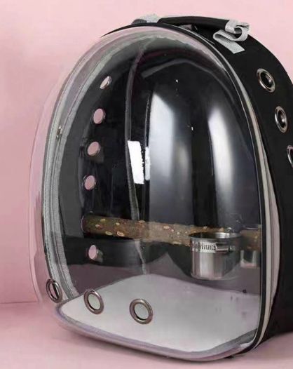 外に出て透明バックパック鳥かご 携帯用通気性のあるランドセル