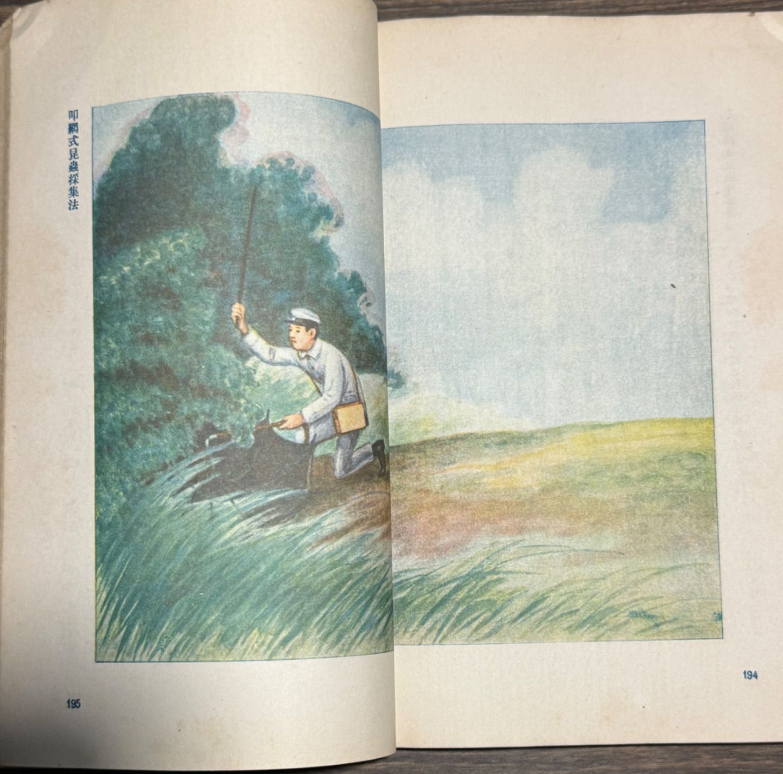 初版】戦前古書原色日本の甲蟲農学博士横山桐郎昆虫昔の図鑑戦前